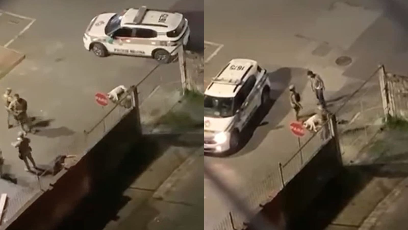 Em legítima defesa, PM atira e mata pitbull que avançou contra policial durante abordagem em Itajaí