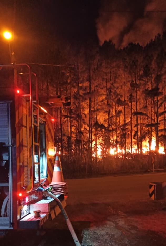 Incêndio de grandes proporções destrói parte de empresa de pellets 