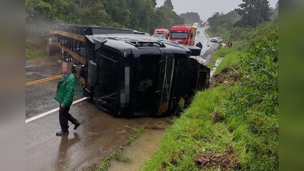 Caminhão carregado com gado tomba após colidir em veículo de passeio na BR-470