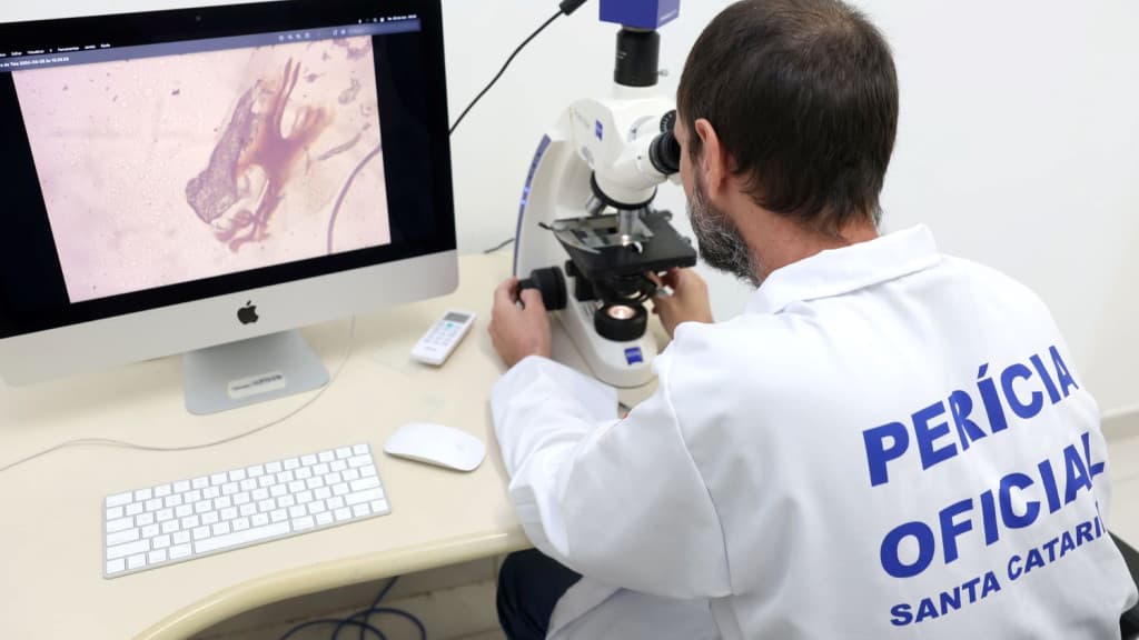 Polícia Científica de SC identifica novas espécies de insetos em cadáveres humanos
