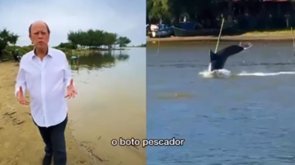“Boto Pescador” ajuda na Pesca da Tainha em praias de Laguna, em SC