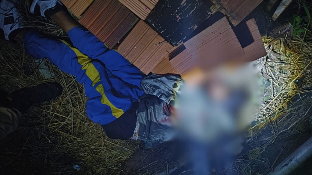 Gritos de socorro em Itapema revelam cena brutal