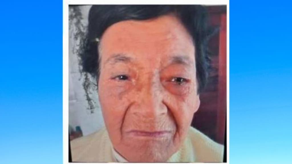 Morre idosa espancada pela própria filha durante tentativa de latrocínio em SC