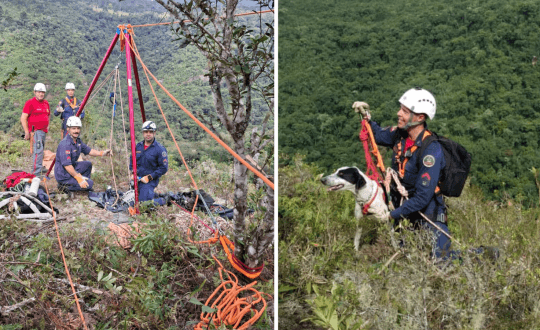 Cão preso em penhasco por 6 dias é resgatado com vida por bombeiros