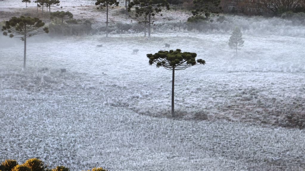 Prepare os cobertores: SC é invadida por massa de ar polar e temperaturas despencam