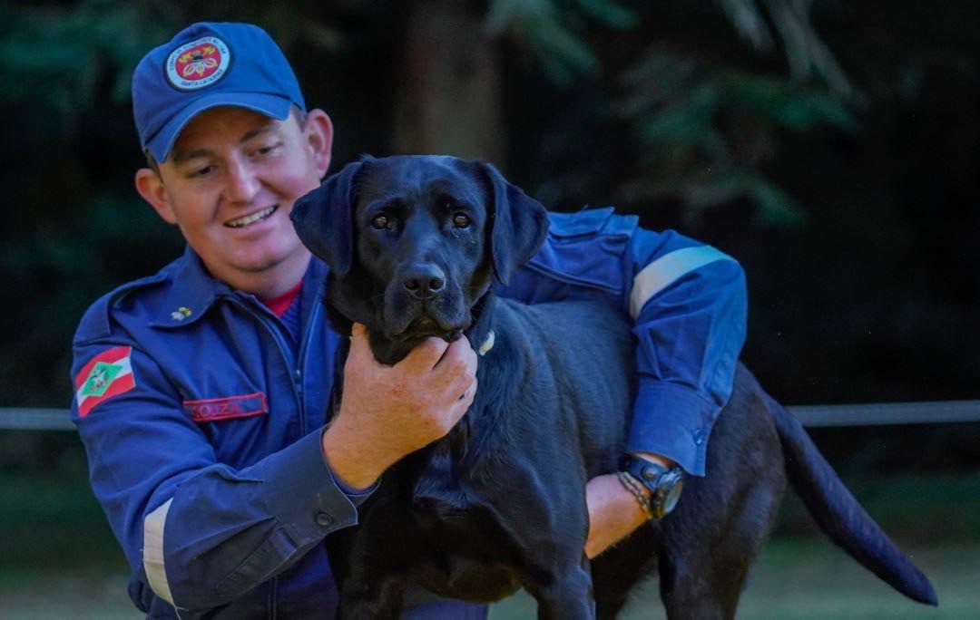 Cão de resgate que atuou em Brumadinho e enchentes em SC se aposenta aos 10 anos
