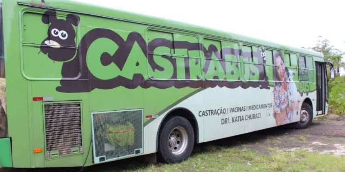 Empresa que presta serviços para Prefeitura de Florianópolis frustra 150 famílias e animais, que esperavam por castração
