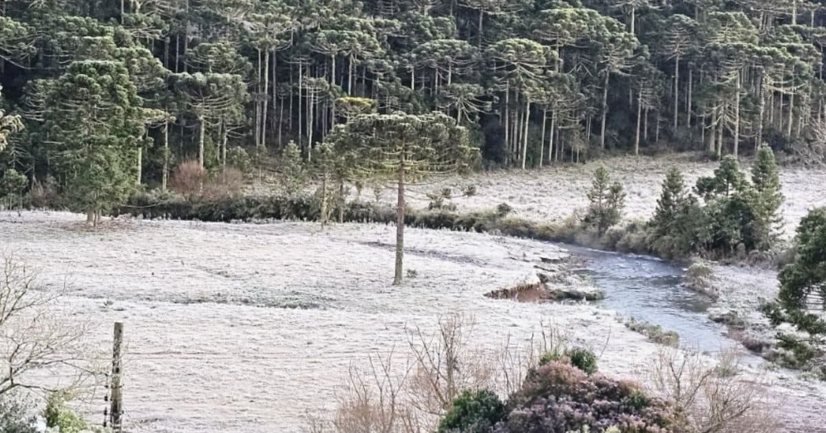 Neve e geada: SC enfrenta combo de frio com -7,1°C na Serra e 4°C no Litoral Norte