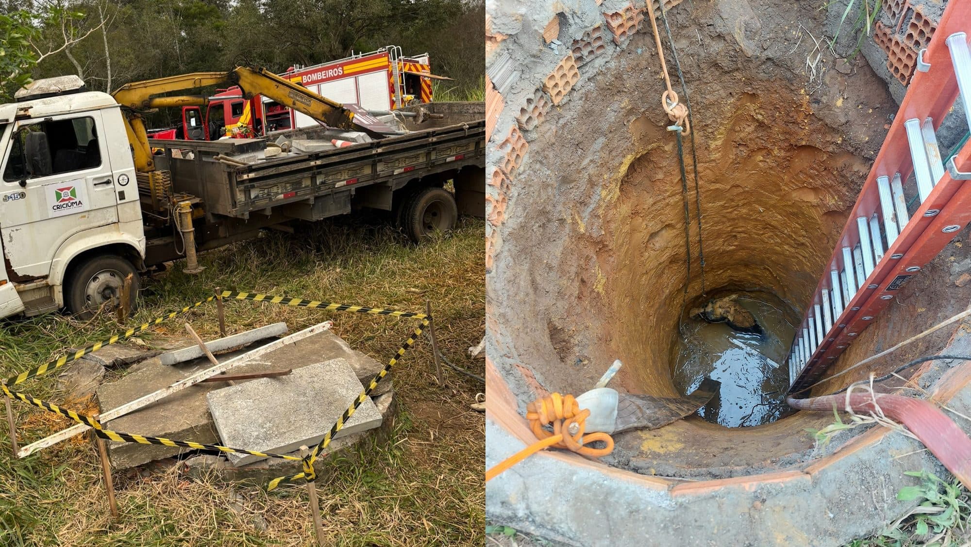 Cavalo cai em poço de 7 metros e passa por resgate complexo em Criciúma
