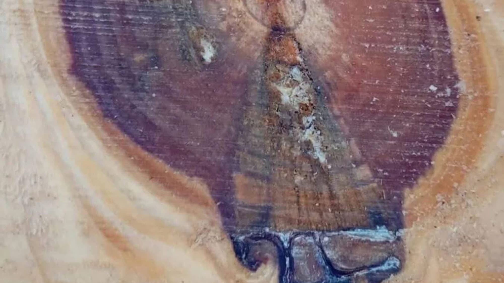 Imagem de Nossa Senhora Aparecida é encontrada em tronco de árvore e emociona moradores em SC