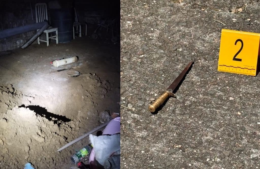 “Ia enterrar os corpos no porão”: filho que matou mãe e irmã em SC já tinha cova pronta