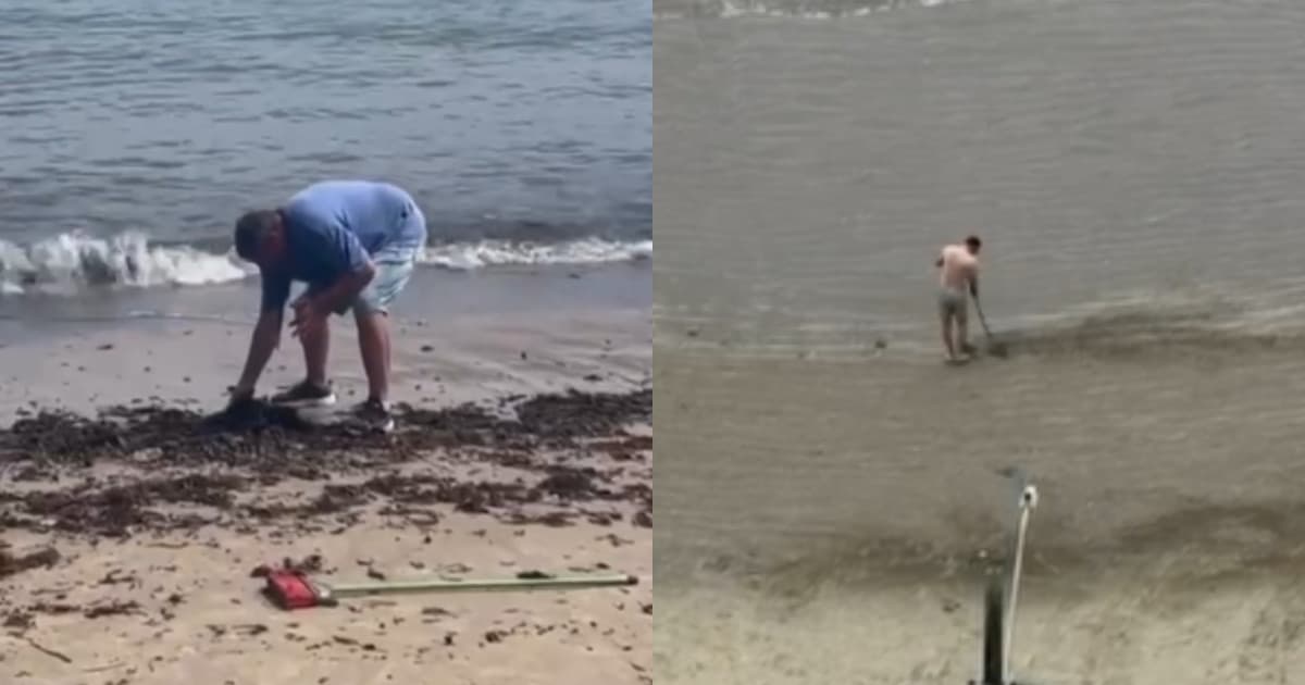 “Paraíso abandonado”: turistas limpam sujeira acumulada na orla de praia em Porto Belo