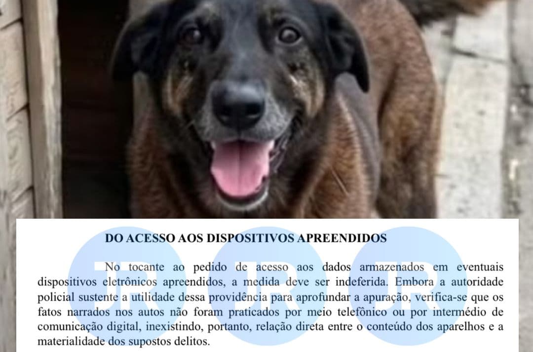 EXCLUSIVO: Juíza proíbe quebra de sigilo dos celulares de suspeitos no caso Orelha
