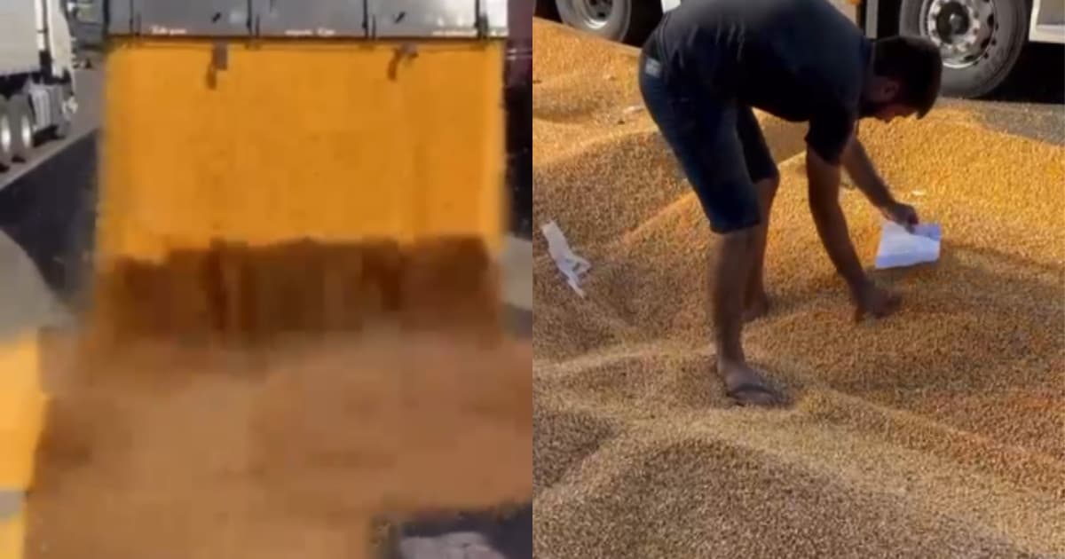 Caminhoneiro despeja carga de milho em pátio de empresa de SC, após mais de uma semana parado para descarregar