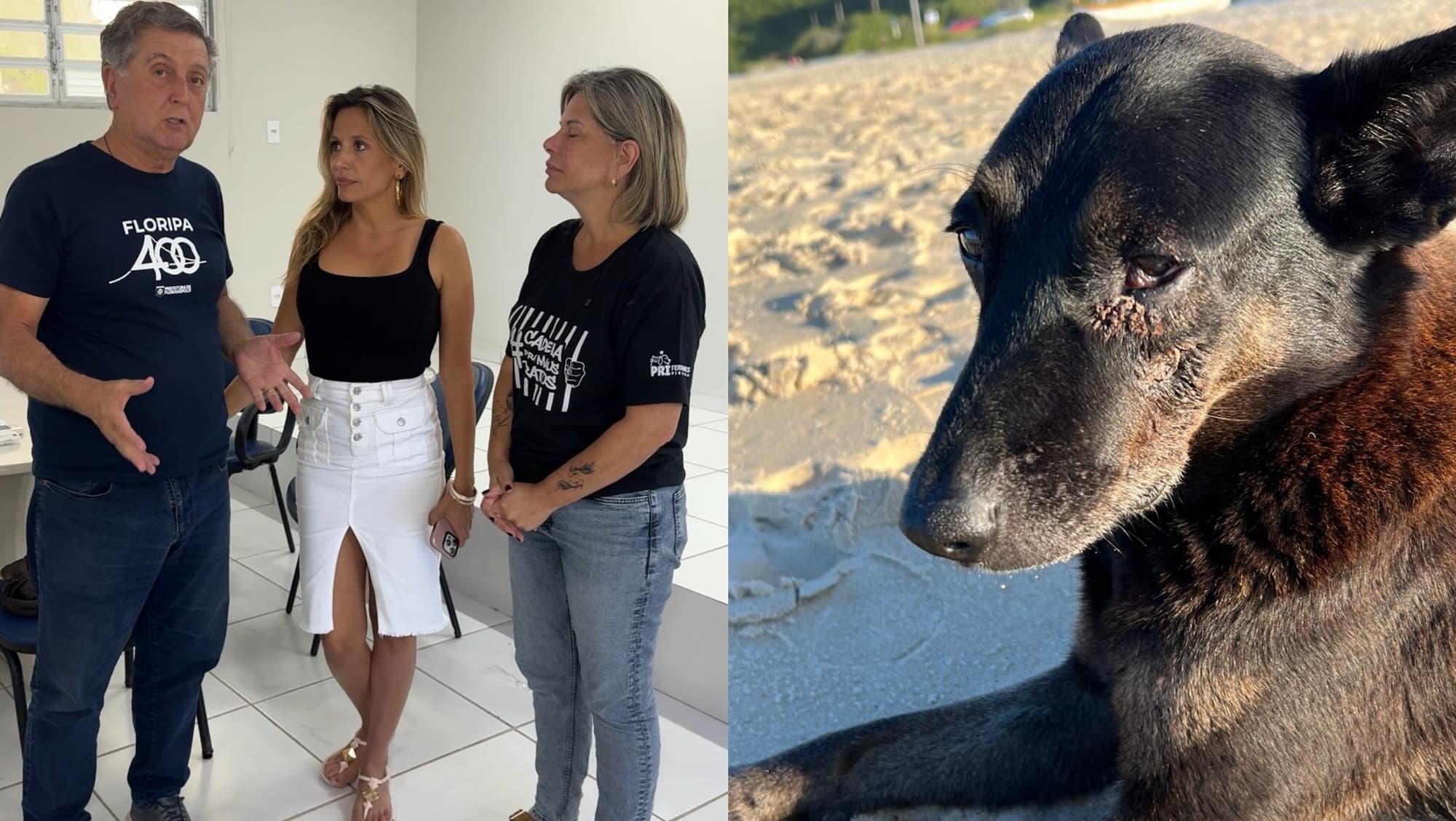 Ao lado de Luisa Mell, prefeito Topázio anuncia “Hospital Veterinário Cão Orelha”, em Florianópolis