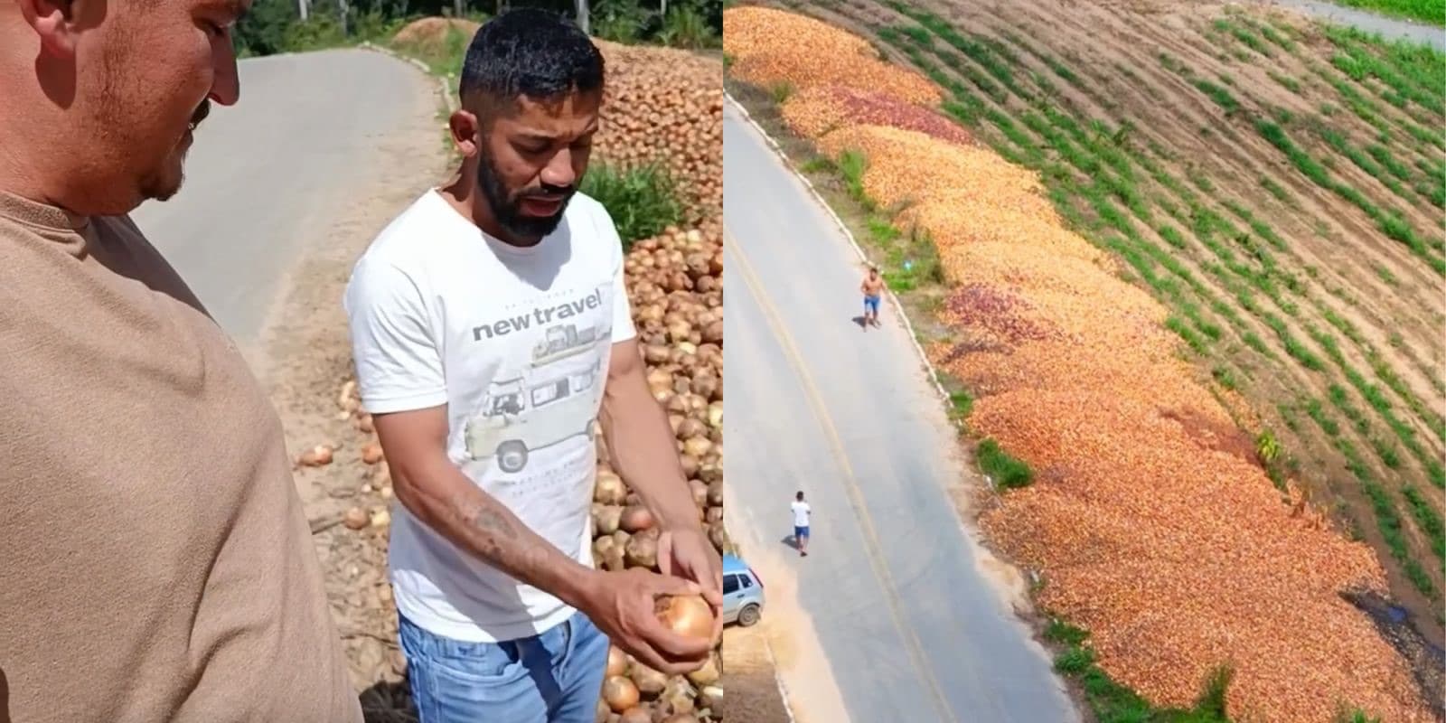 “Agro está em apuros”: Capital da Cebola, cidade catarinense decreta calamidade pública