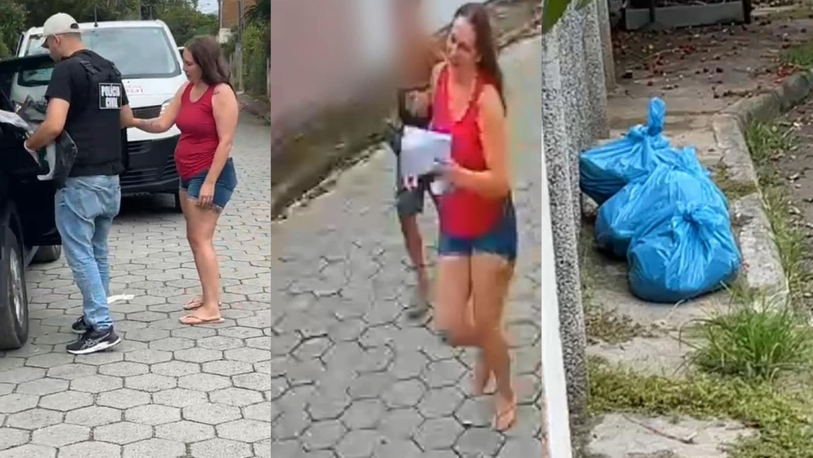 Juiz solta mulher presa com cães mortos em Florianópolis e autoriza devolução de animais resgatados