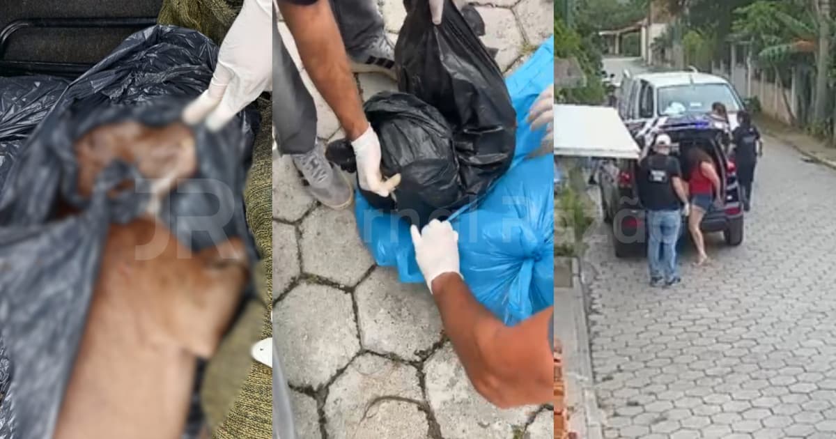 Após denúncia do JR, “protetora” animal é presa em Florianópolis com cinco cachorros mortos