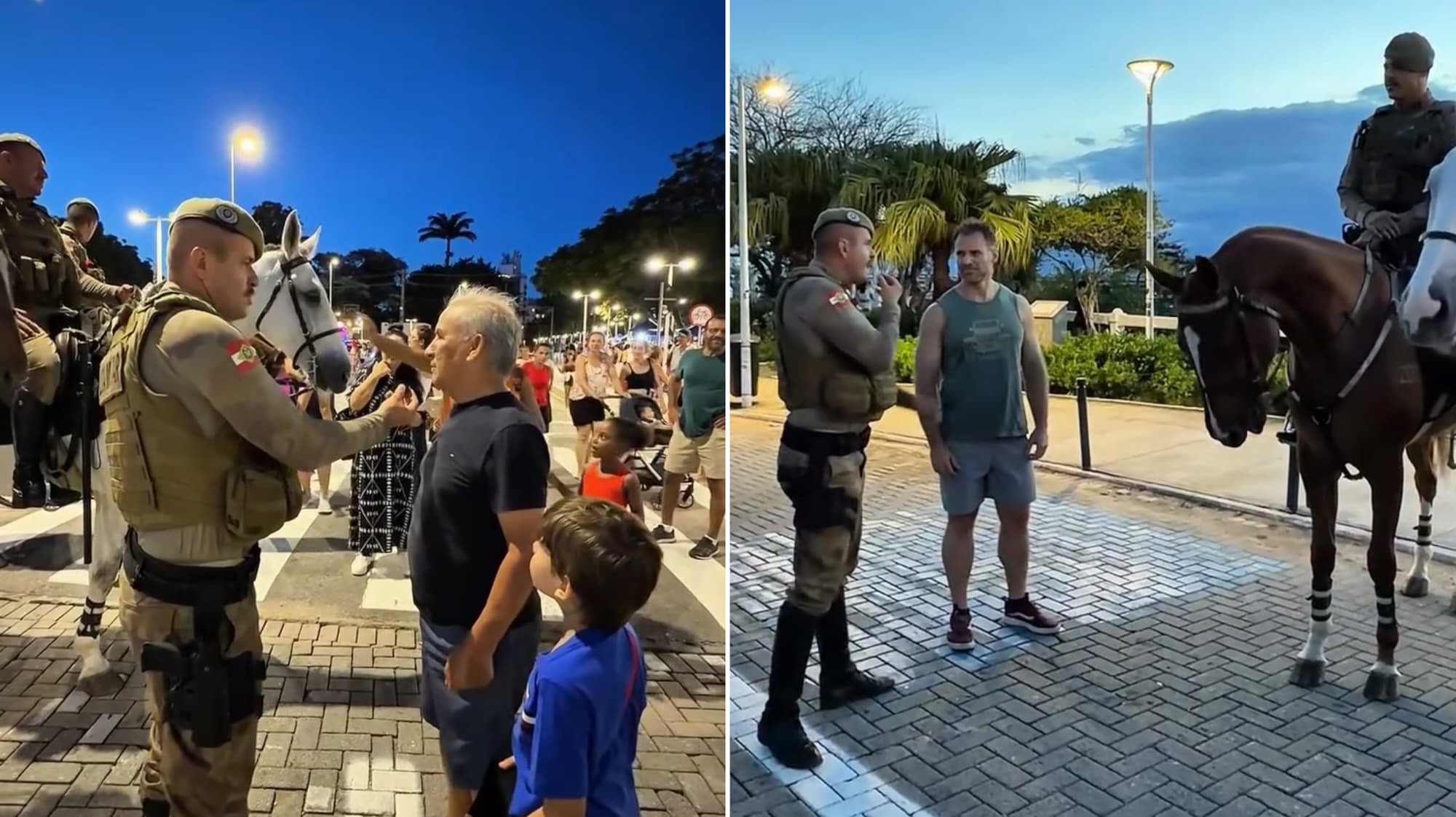 PMSC faz experimento social e diverte web ao revelar raça dos cavalos da cavalaria