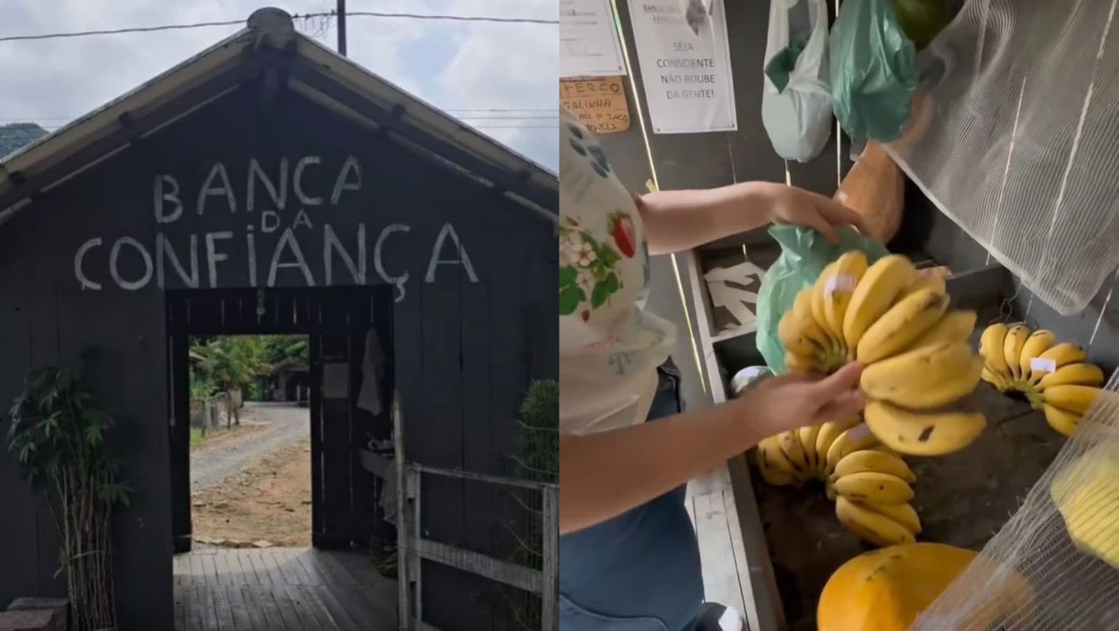 “É estranho pra nós”: casal de São Paulo descobre banca da confiança sem vendedor em estrada de SC