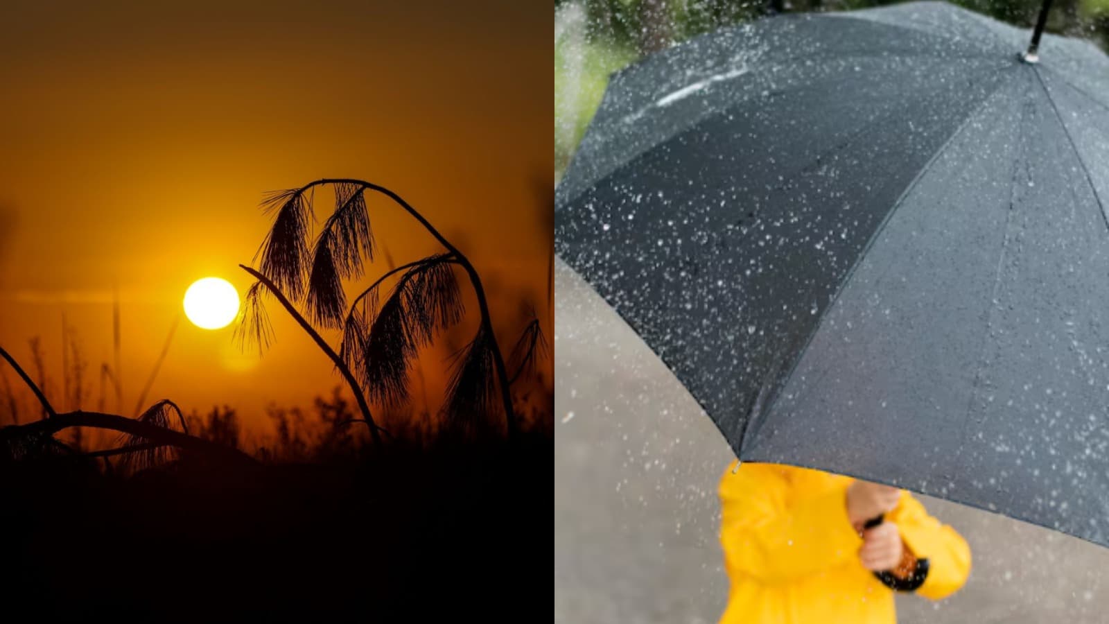Semana começa com sol e calor de 30°C, mas frente fria chega no fim de semana com chuva em SC