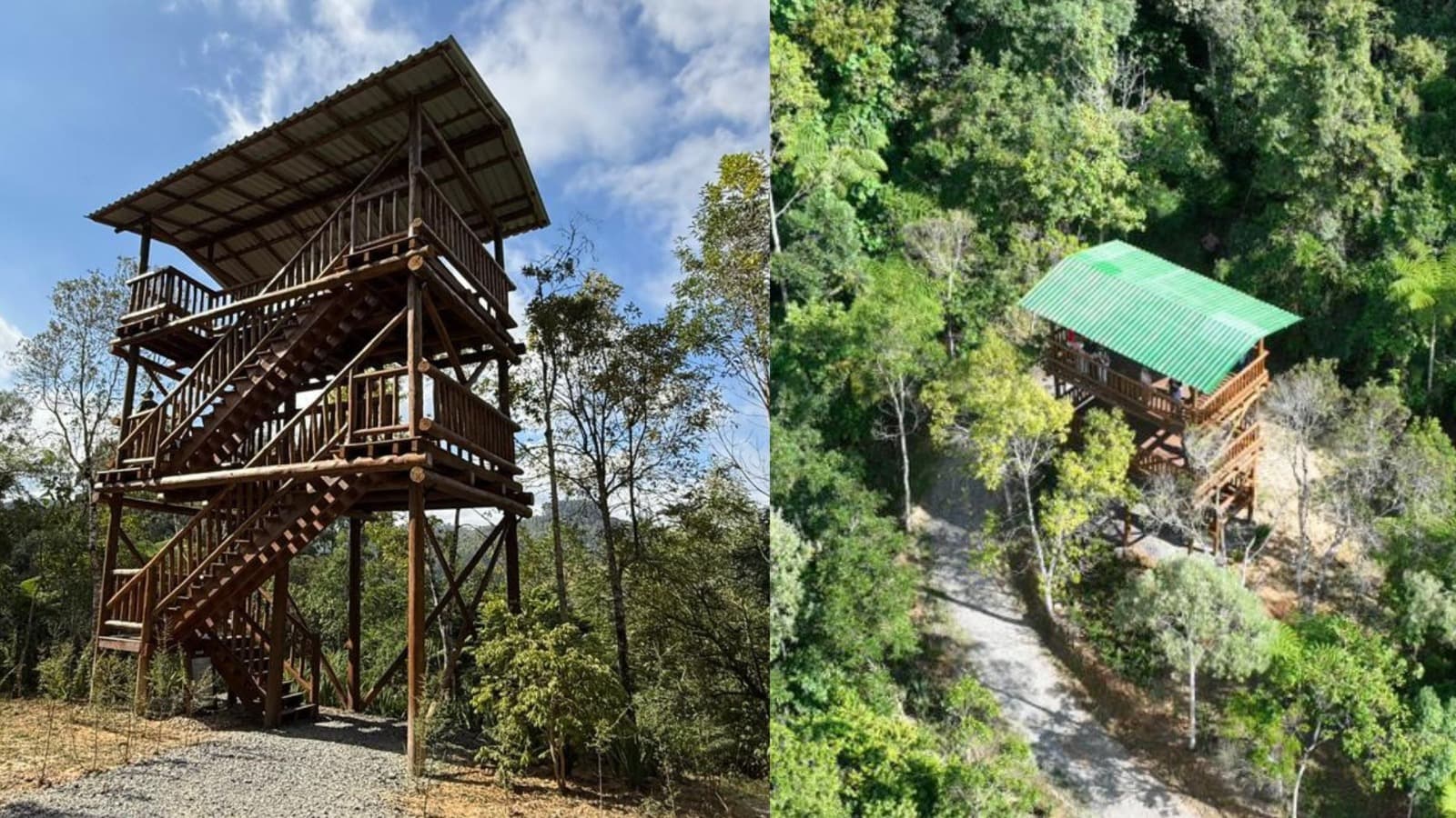 “De cima se vê melhor”: torre de 10 metros para observação de aves é inaugurada em cidade de SC