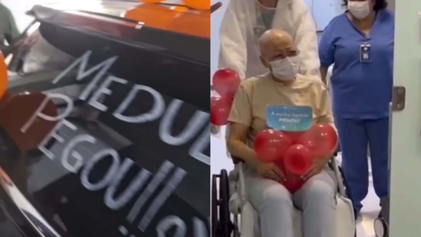 Filha caçula doa medula, transplante pega e moradora de Florianópolis recebe alta após luta contra leucemia