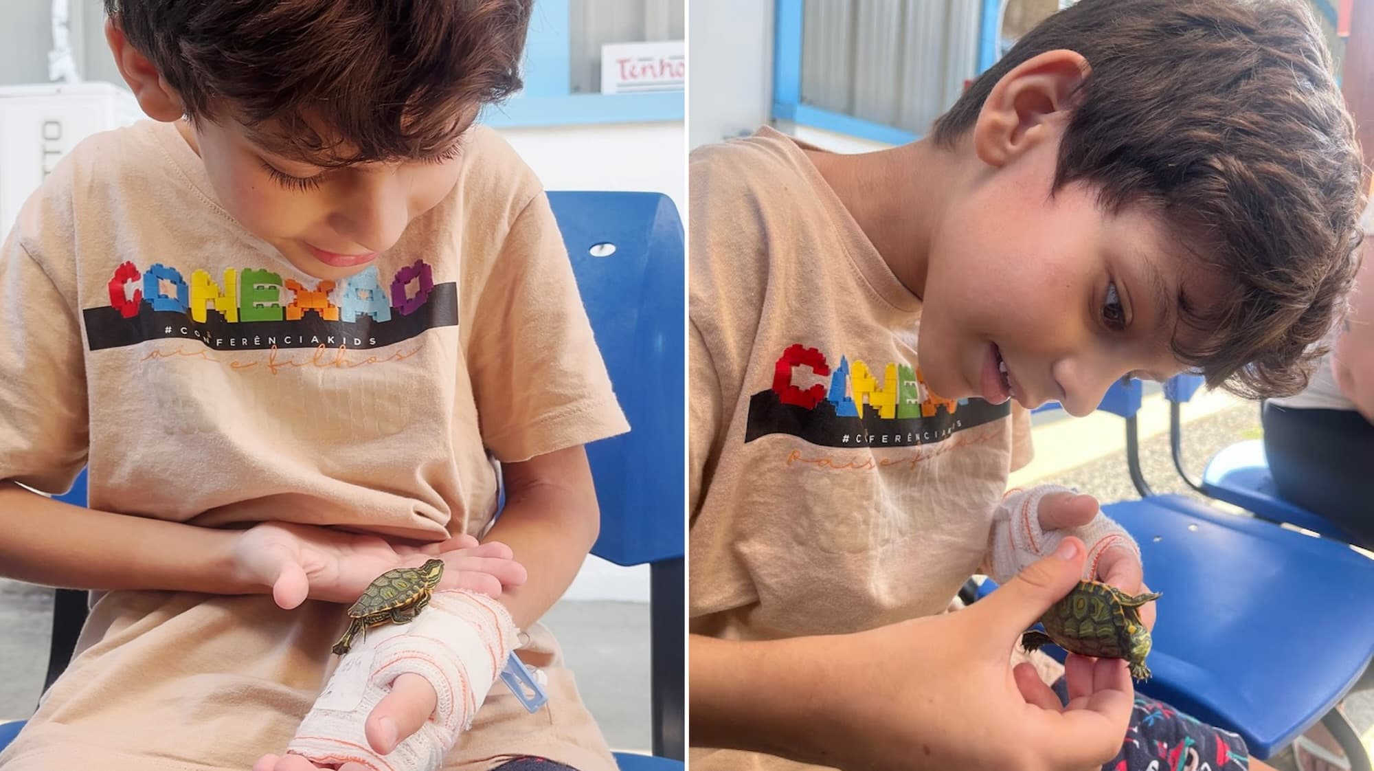 Internado há 26 dias, menino de 8 anos pede para ver sua tartaruga e hospital realiza o desejo em BC