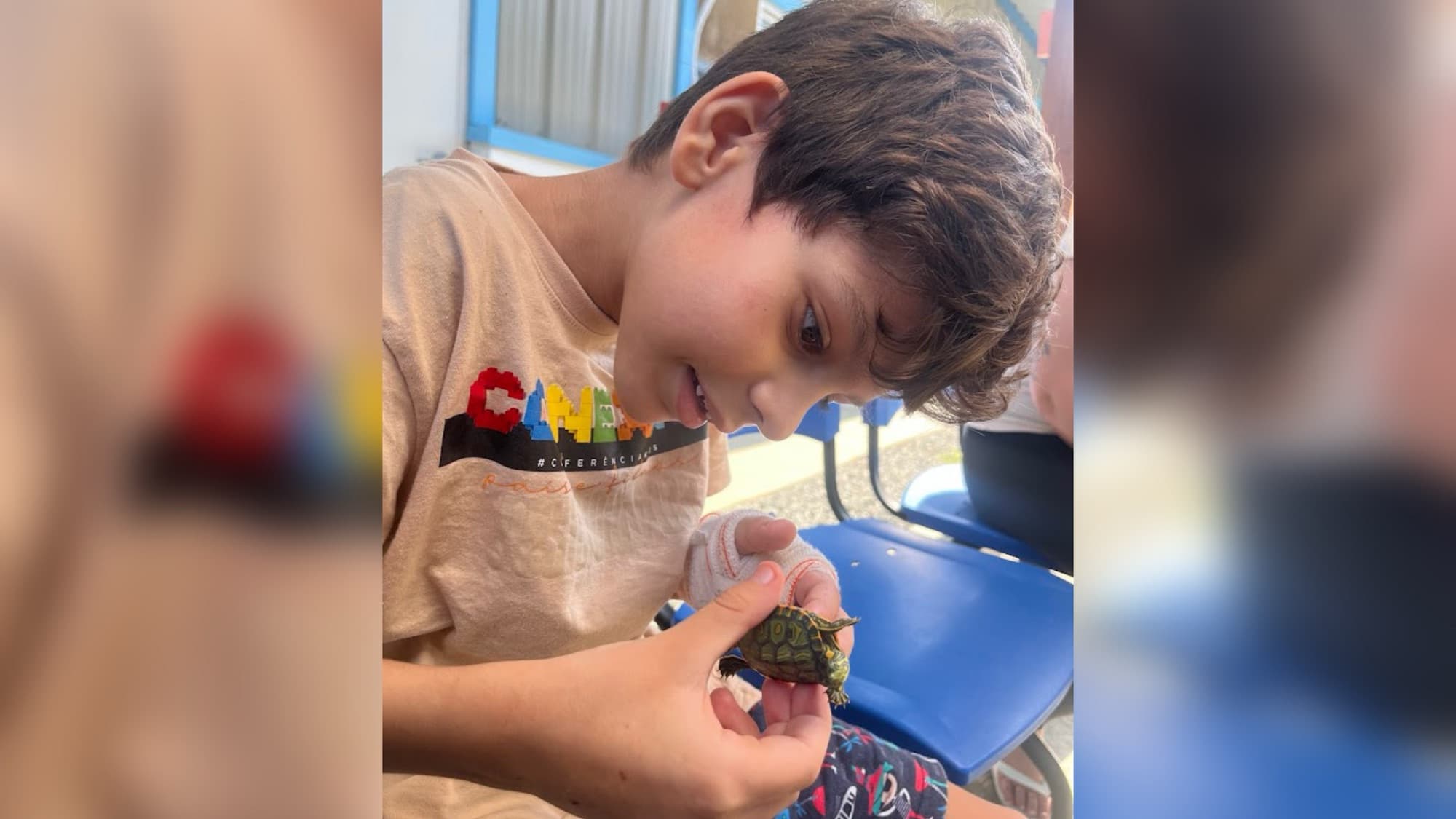 Hospital realiza desejo de criança internada e promove encontro com tartaruga de estimação em SC