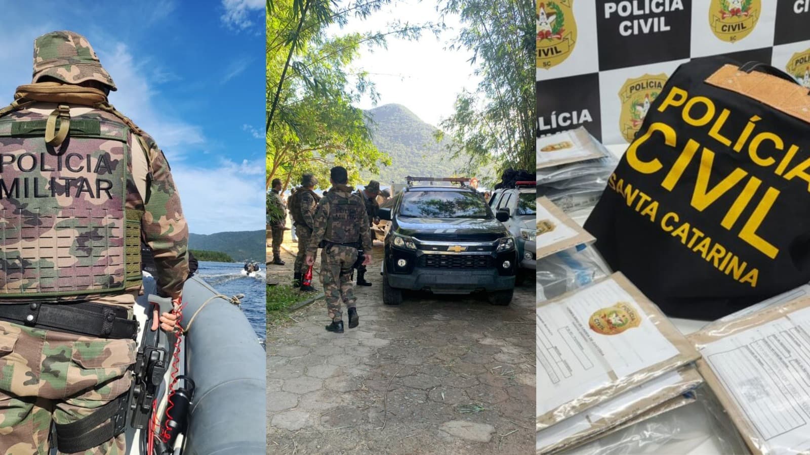 Após boi ser torturado, polícia mira suspeitos de maus-tratos em Florianópolis: “Acabou a farra”