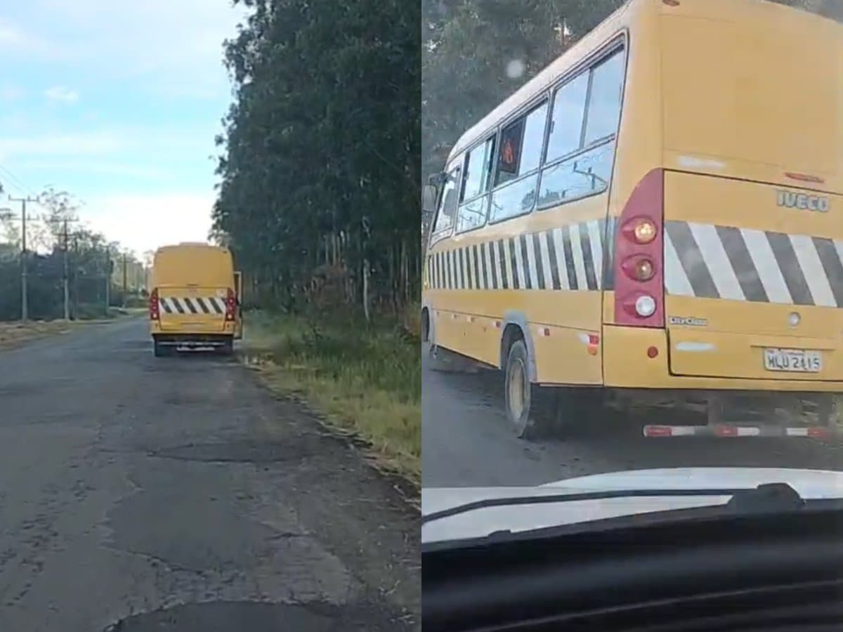 Prefeito manda demitir trabalhador que usou ônibus para espalhar veneno em rodovia em SC: “tenho que dar o exemplo”