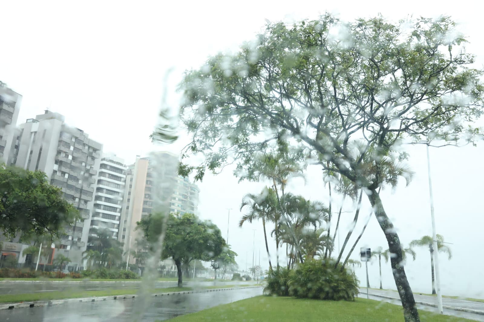 Defesa Civil alerta para temporais, ventos fortes e granizo em Santa Catarina a partir de sábado