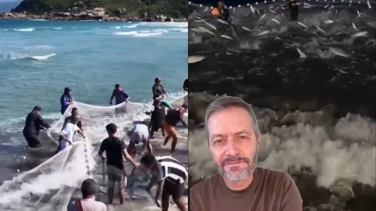 Vereador acusa “politicagem” da direita e diz que fim da cota da tainha é “técnica”, não “perseguição” a SC