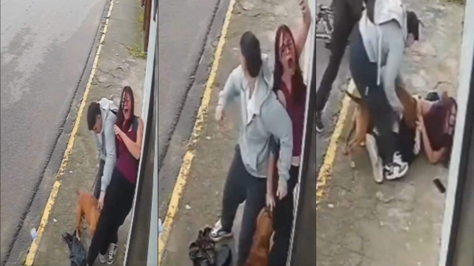 “Deus foi bom comigo”: jovem escapa da morte em ataque de pitbull em SC; VEJA VÍDEO