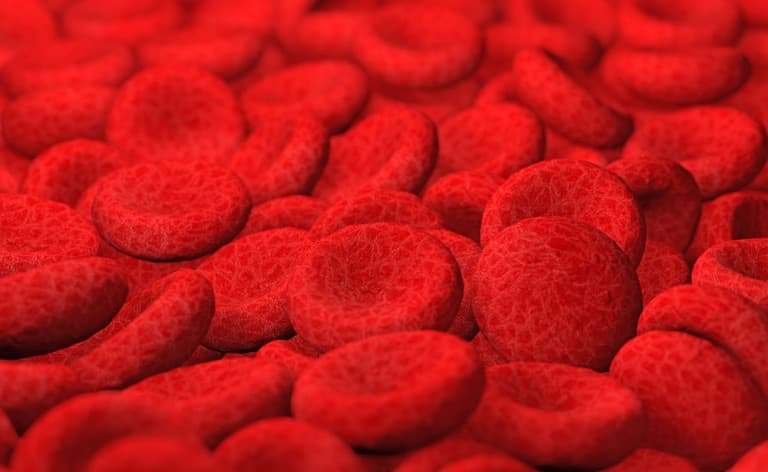 Anvisa aprova novo medicamento para tratamento de câncer raro do sangue
