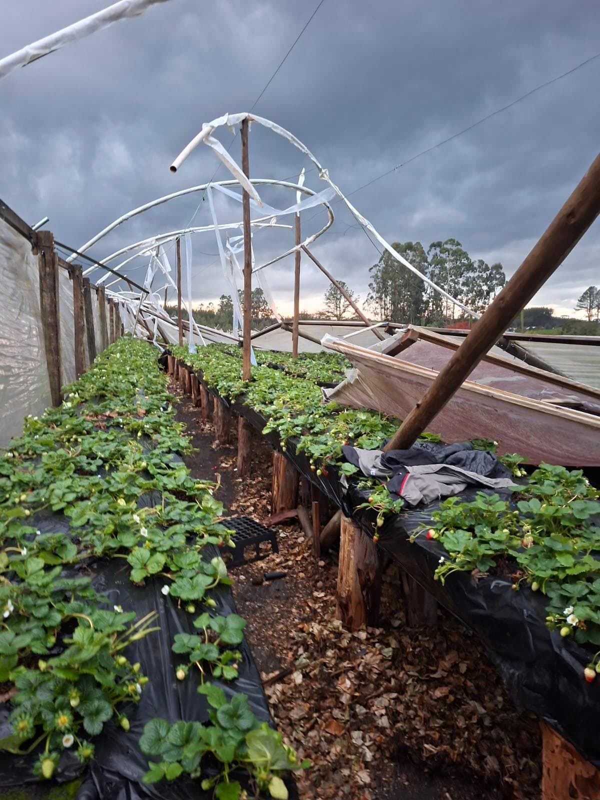 Após alertas vermelhos em SC, tempestade deixa rastro de destruição nesta terça-feira