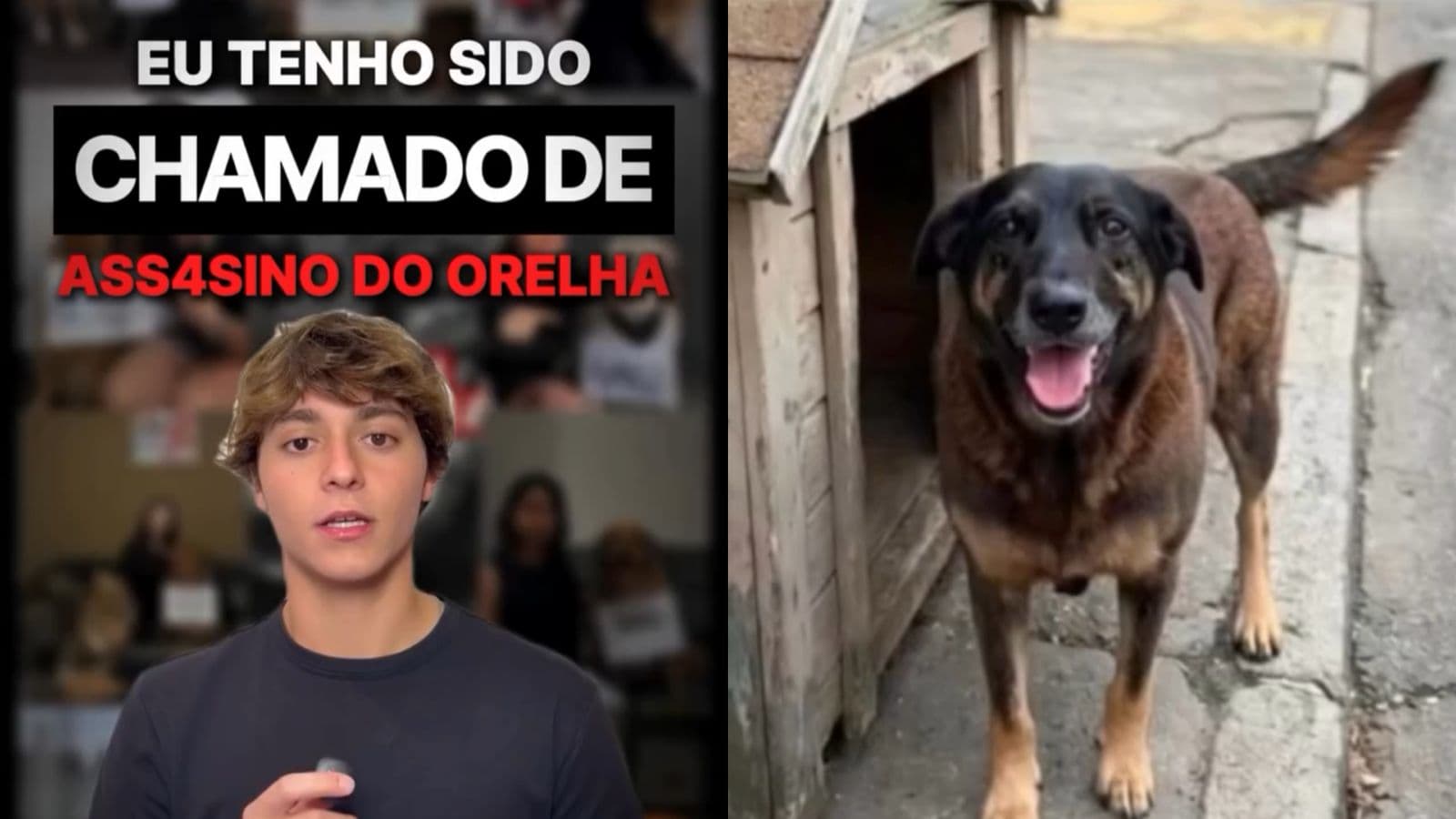 “Não fiz nada”: jovem inocentado no caso do cão Orelha fala pela primeira vez após ser chamado de assassino em SC