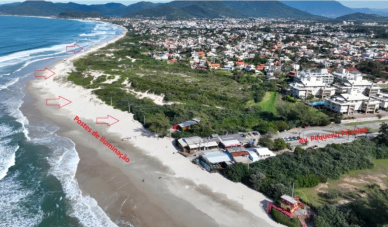 Justiça manda Florianópolis arrancar 13 postes da restinga do Campeche, instalados sem licença ambiental