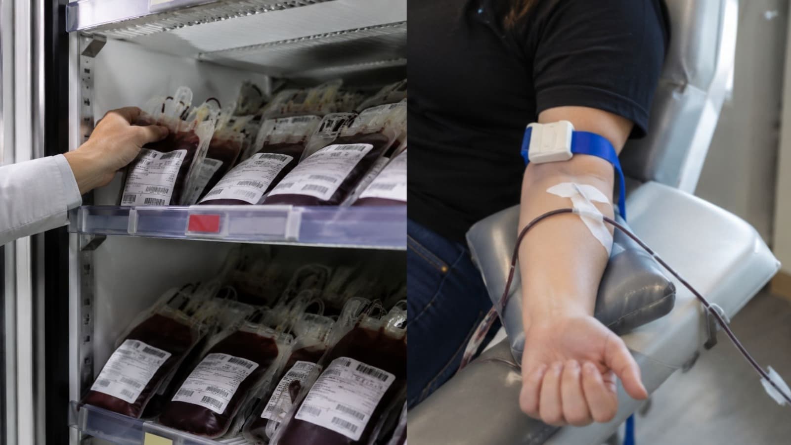 Estoque de sangue O negativo atinge nível crítico e Hemosc convoca doadores em SC