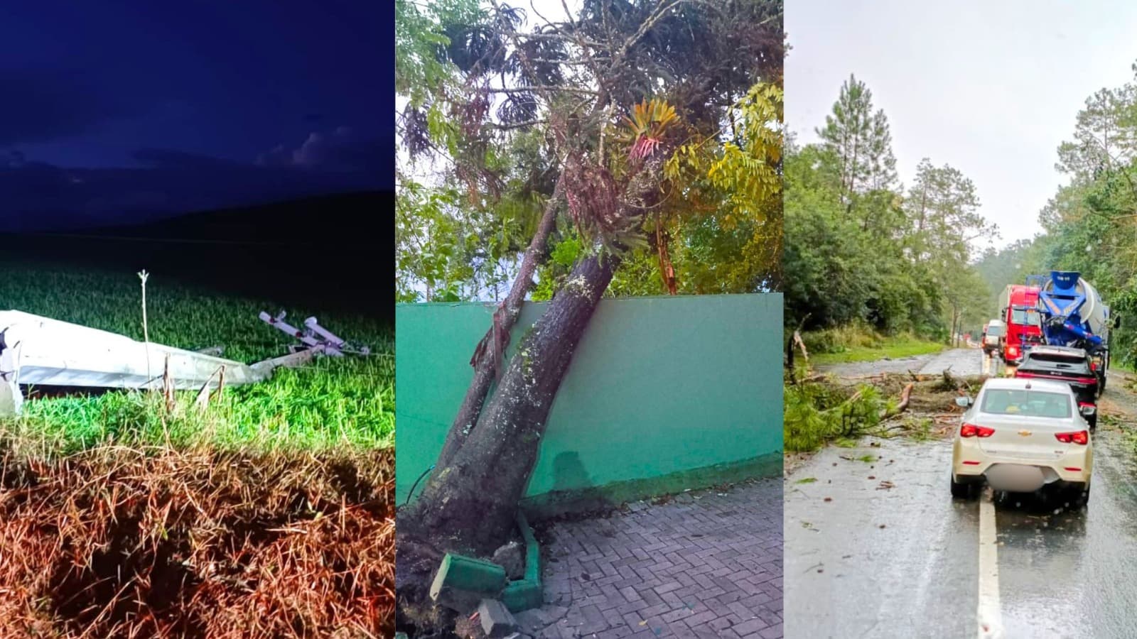 Temporal deixa rastro de destruição no Alto Vale: árvores atingem casas, postes caem e família fica desalojada
