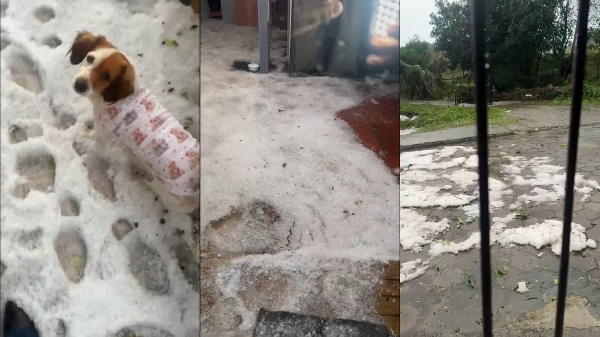 FOTOS: Forte chuva de granizo surpreende moradores de Blumenau após alertas da Defesa Civil