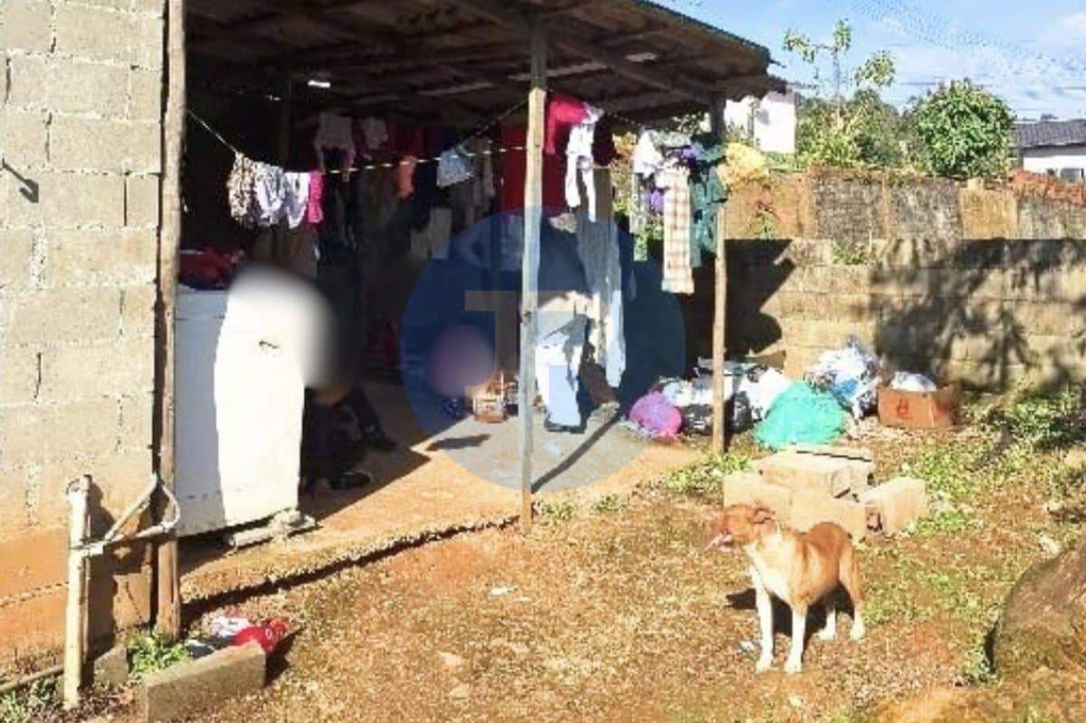 “Mãe” some por três dias e cinco crianças são encontradas abandonadas em casa imunda em SC