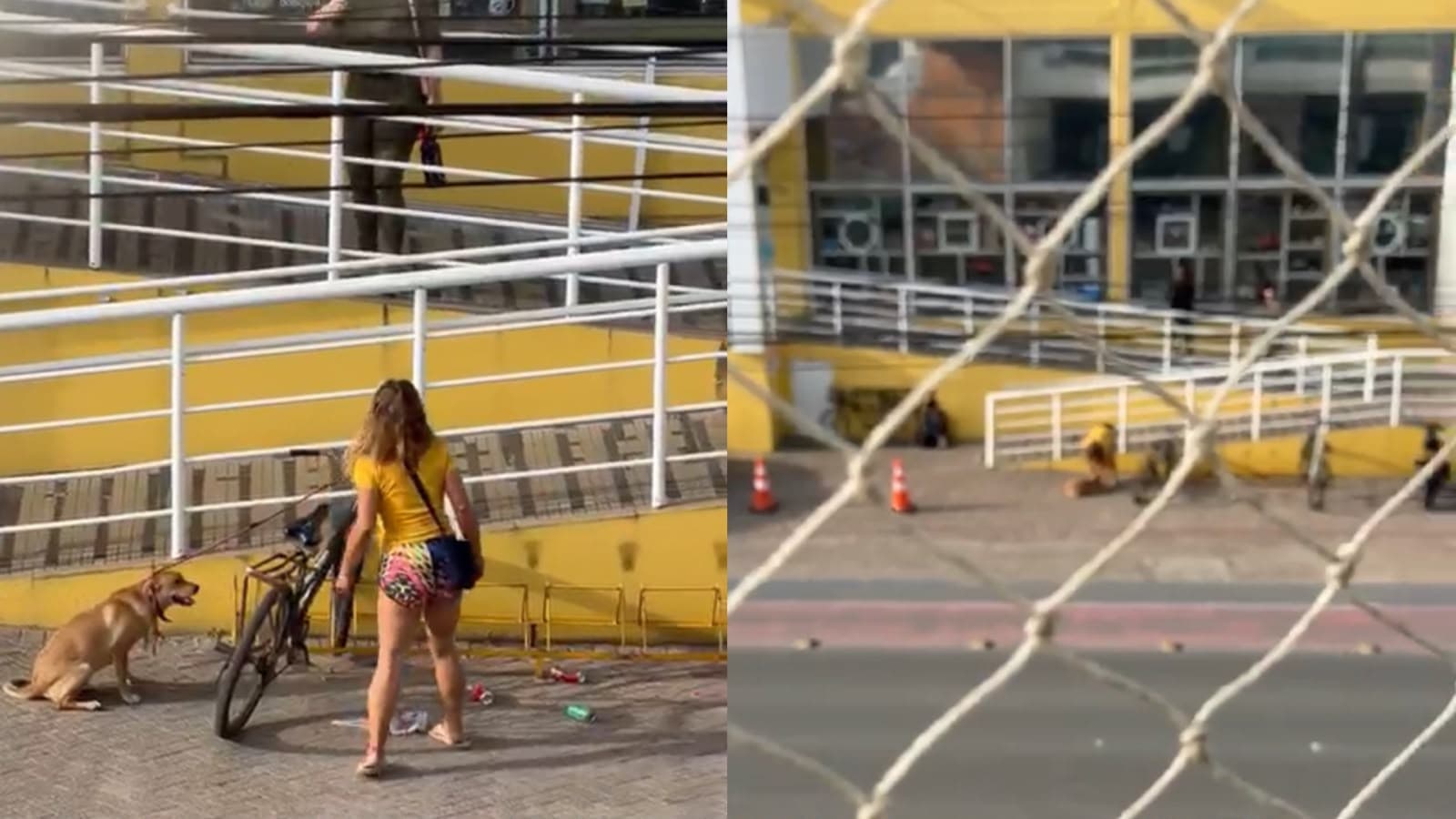 VÍDEO: Moradora vê cena revoltante em SC, diz que vai chamar a polícia, leva xingamentos e é ameaçada no meio da rua