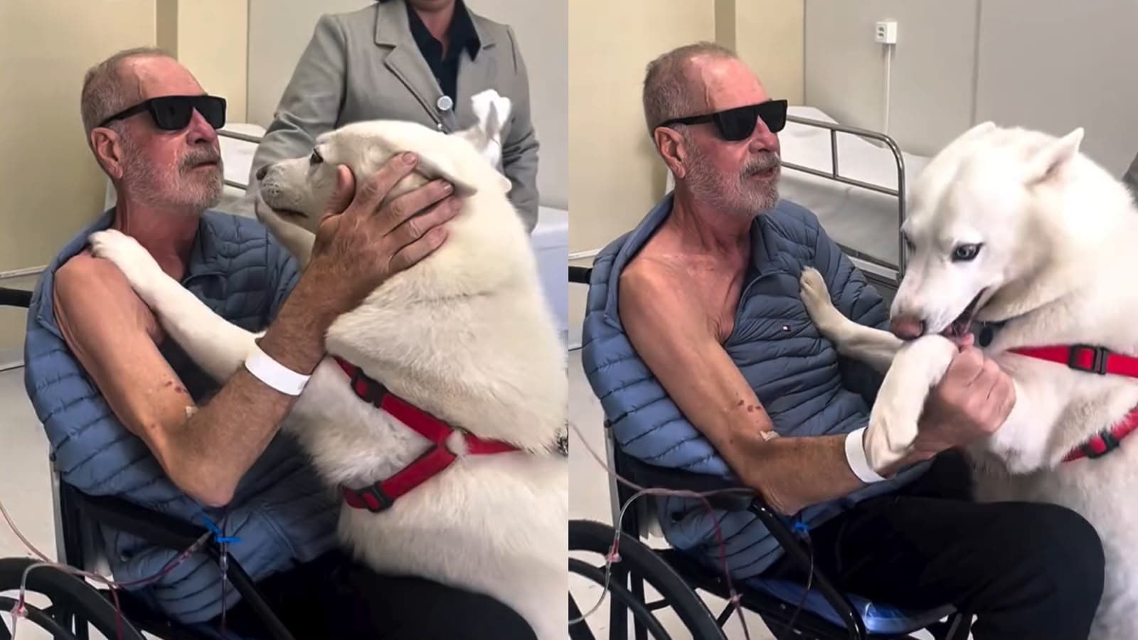 “Melhor amigo do homem”: tutor cego se emociona ao reencontrar com cão-guia após dias internado em SC