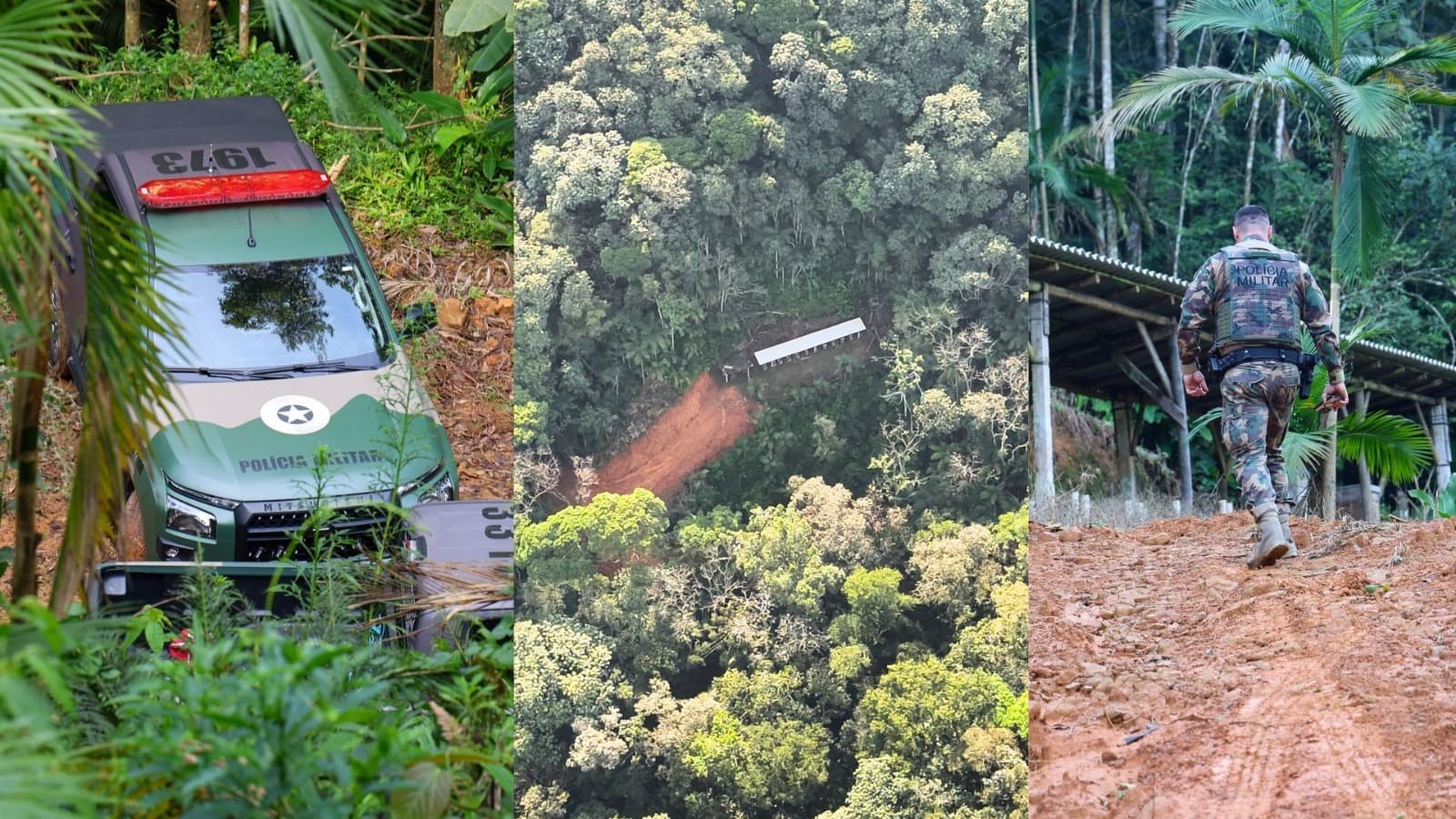 Cerco ao crime ambiental: SC autua 381 hectares de Mata Atlântica e aplica R$ 2,7 mi em multas