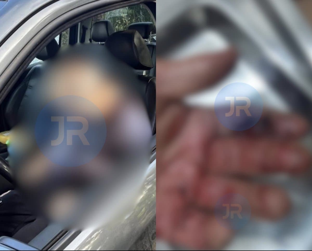 Agricultor de 74 anos diz ter desarmado e matado idoso de 72 após ser baleado na mão em SC