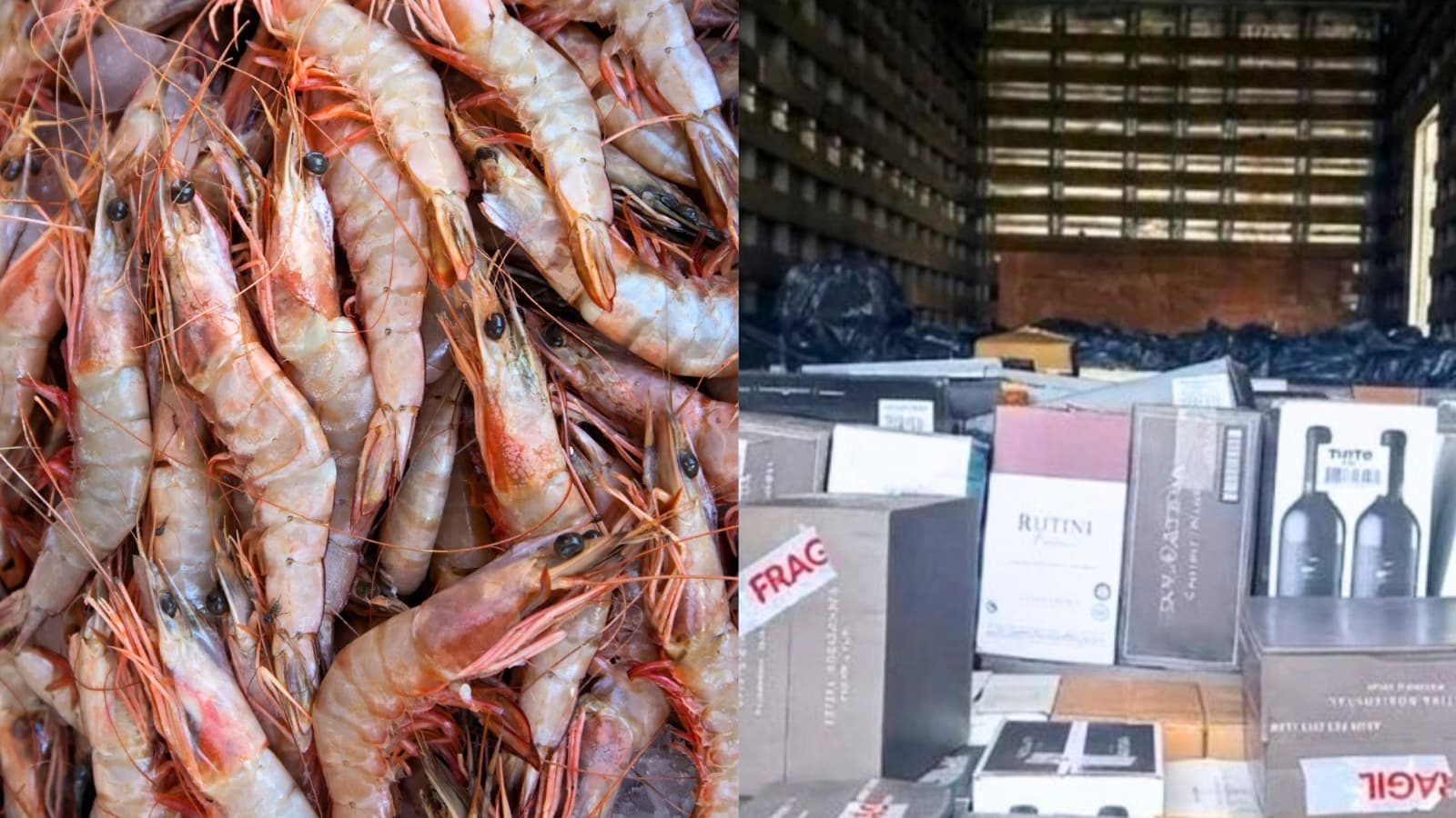 Não deu praia: caminhão carregado de camarão e garrafas de vinho “cai” na rede da polícia em SC