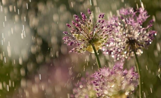 Primavera em SC pode ter temporais e chuva até 200 milímetros acima da média