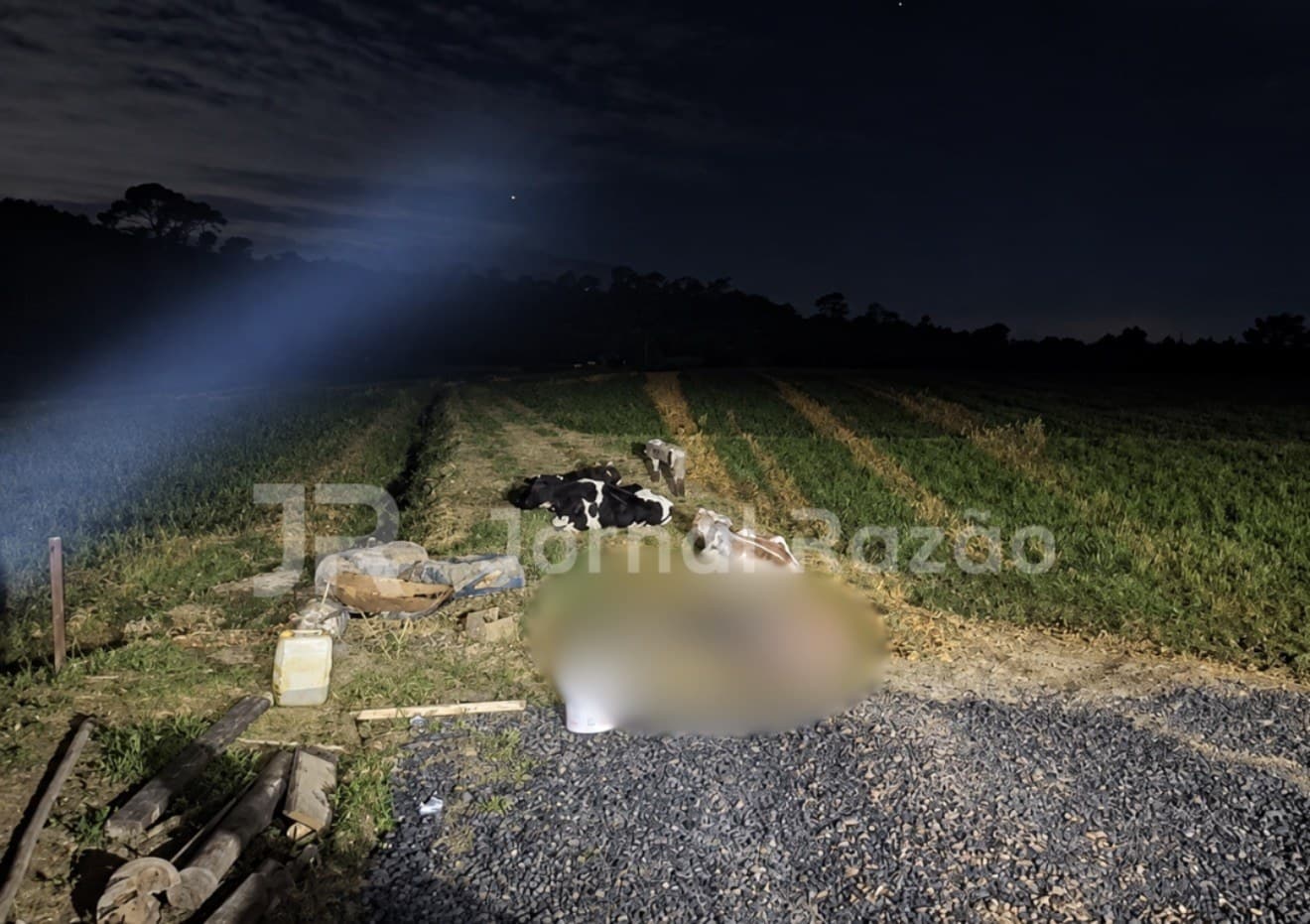 Filhas encontram pai morto em cerca elétrica de propriedade rural em Joinville