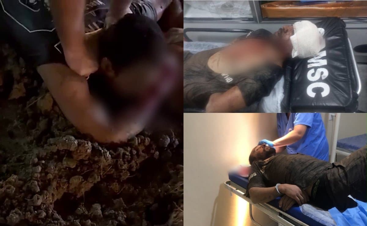Homem pula muro para furtar casa, foge do cachorro, cai em vala e acaba contido por moradores em Tijucas